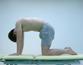 네발기기 자세에서 척추 움직임 증가 운동 2(고양이 등 운동)