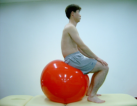 공을 이용한 골반 후방 경사 운동 1