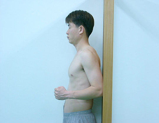 견관절 신전의 등척성 운동