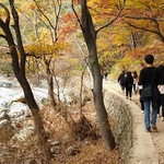 가을 산행(공동체 훈련..