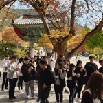 가을 산행(공동체 훈련..