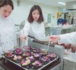 창업 프로젝트 수업1