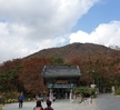 가을 산행(공동체 훈련 수업)1