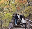 가을 산행(공동체 훈련 수업)2
