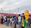 2019 팜파티 경연대회 입상(대상 수상)