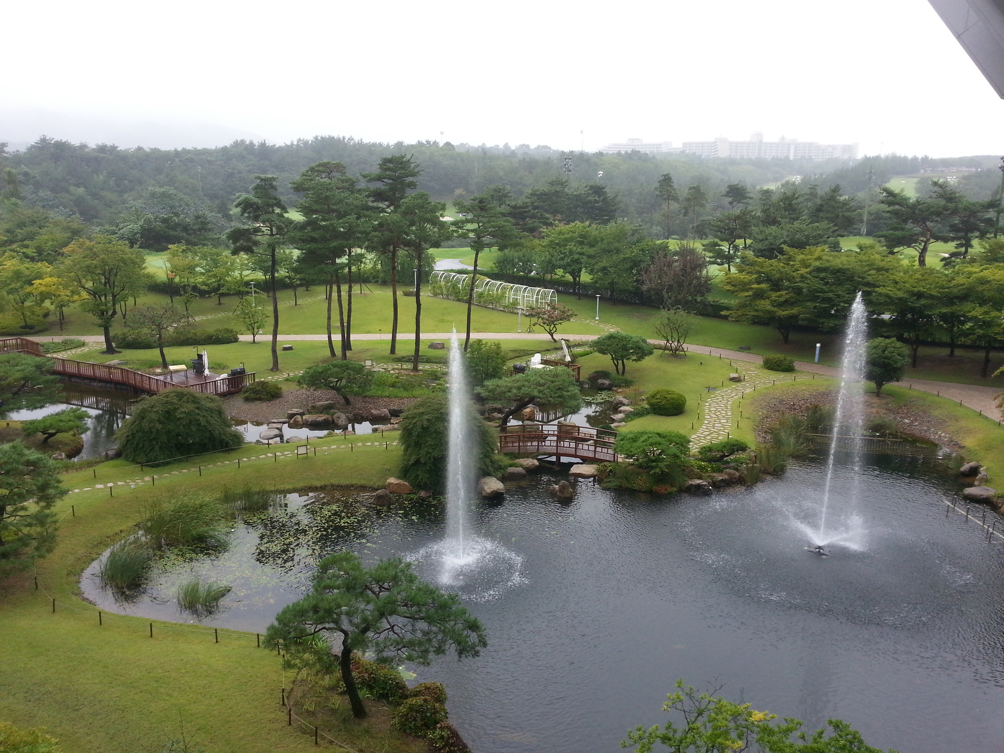 20140814_140818.jpg