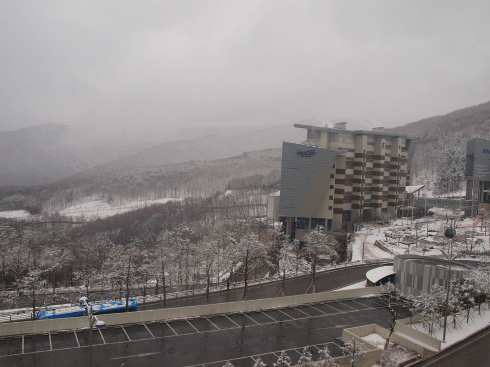 a_P1013289.JPG