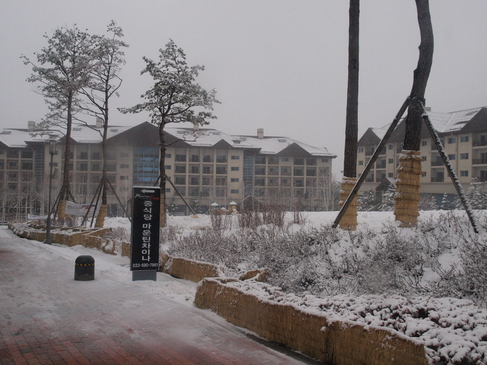 a_P1013374.JPG