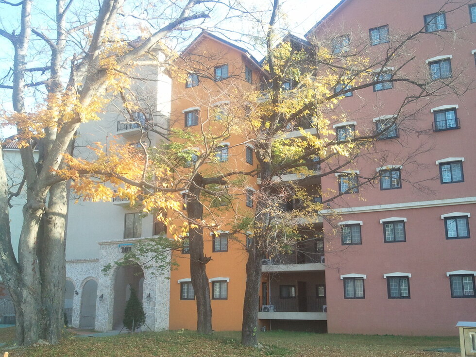 2012_11_01_15.12.33.jpg