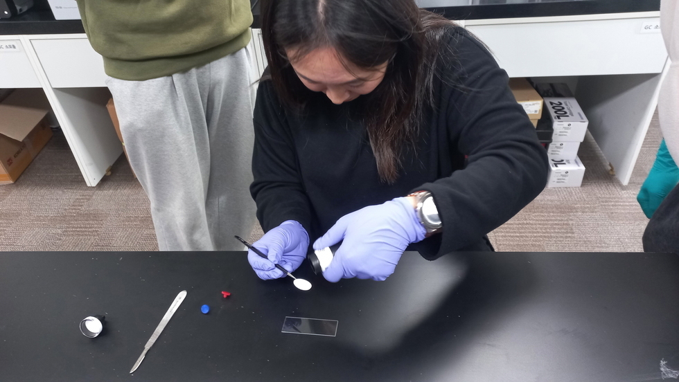 예리한것 뽀족한거.jpg