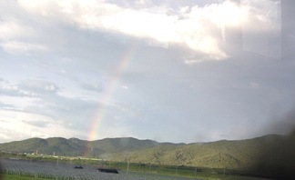 소나기를 피하면 좋은일이 생기겠죠?